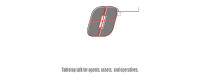 Go Bag